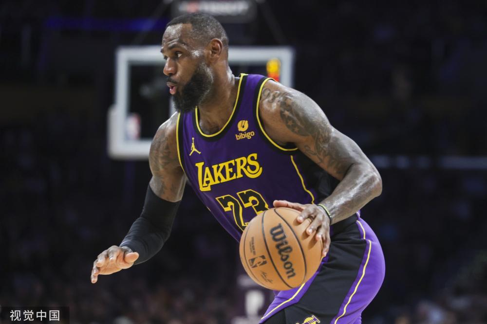 政府将适当 政府将适当